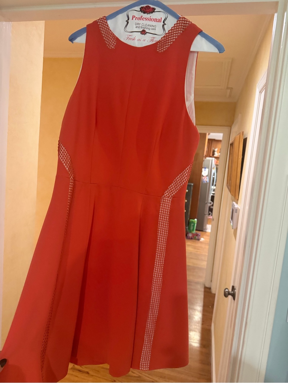 Red Sleeveless Fit-and-Flare Dress with Embellished Trim
